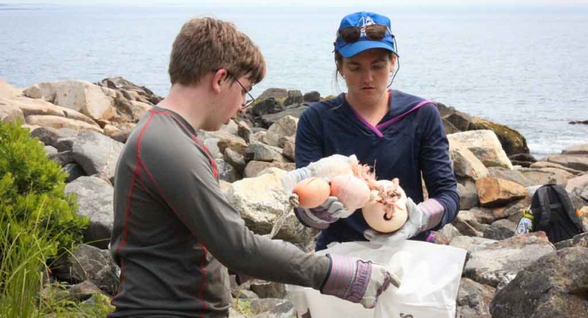 two teens pick up trash along a rocky shoreline during a service project with outward bound in maine